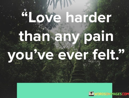 Love Harder Than Any Pain You've Ever Felt Quotes