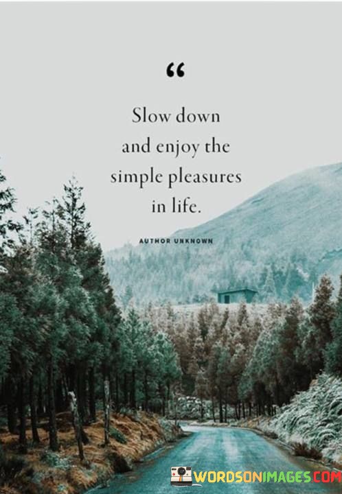 Slow-Down-And-Enjoy-The-Simple-Pleasures-In-Life-Quotes.jpeg