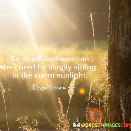 The quote reflects on the healing power of sunlight. "So much sadness" signifies emotional distress. "Cured by simply sitting in the warm sunlight" suggests a remedy. The quote conveys the idea that exposure to sunlight can uplift one's mood and alleviate sadness.

The quote underscores the connection between environment and emotions. It highlights the therapeutic effect of natural elements. "Warm sunlight" symbolizes comfort and positivity, emphasizing the potential for nature to have a positive impact on mental well-being.

In essence, the quote speaks to the simplicity of finding solace in nature. It emphasizes the idea that sometimes, taking a moment to bask in sunlight can have a positive effect on emotional state. The quote captures the transformative power of simple actions and natural elements in alleviating emotional distress.