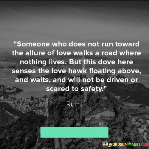 Someone-Who-Does-Not-Run-Toward-The-Allure-Of-Love-Walks-A-Road-Where-Quotescf5327931ddf64d6.jpeg