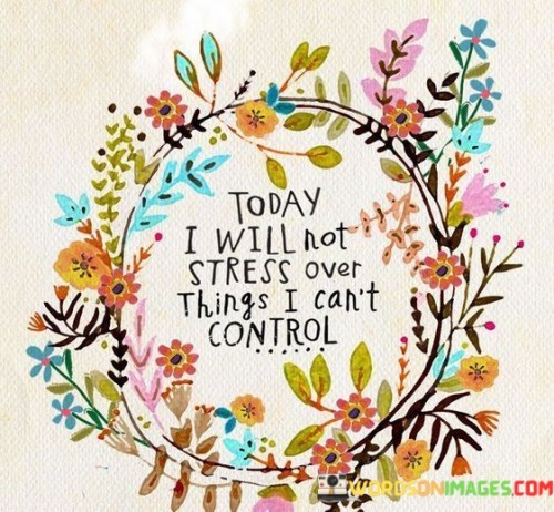 Today I Will Not Stress Over Things I Can't Control Quotes