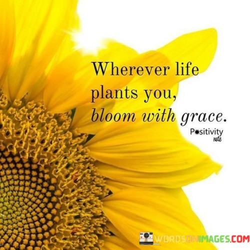 Whenever-Life-Is-Plants-You-Bloomed-With-Grace-Quotes.jpeg