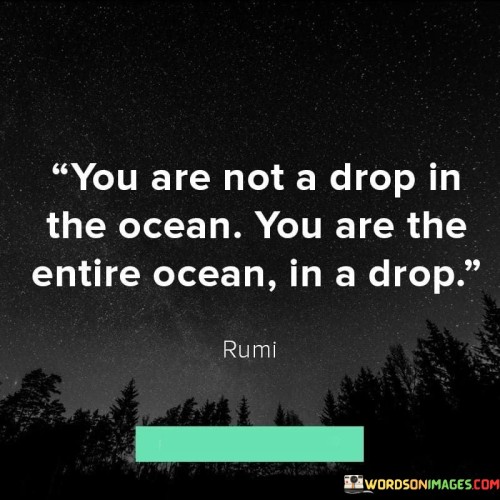 You-Are-Not-A-Drop-In-The-Ocean-You-Are-The-Entire-Ocean-In-A-Drop-Quotes6353fddd245bd2f9.jpeg