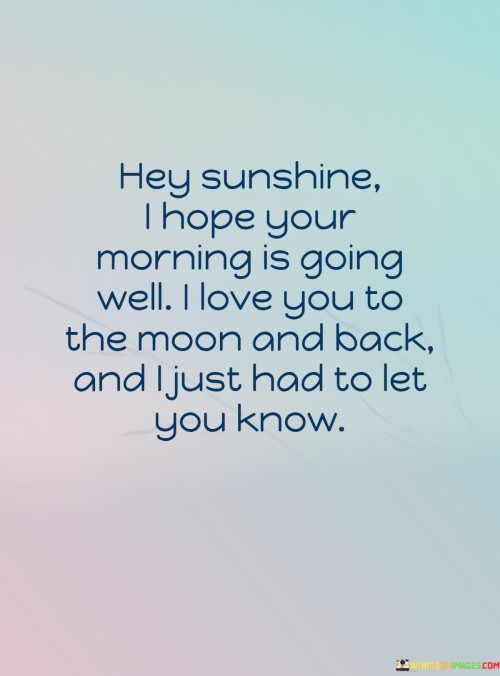 Hey Sunshine I Hope Your Morning Is Going Well I Love You To The Moon And Quotes