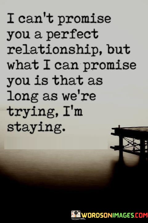 I-Cant-Promise-You-A-Perfect-Relationship-But-What-I-Can-Promise-Quotes.jpeg