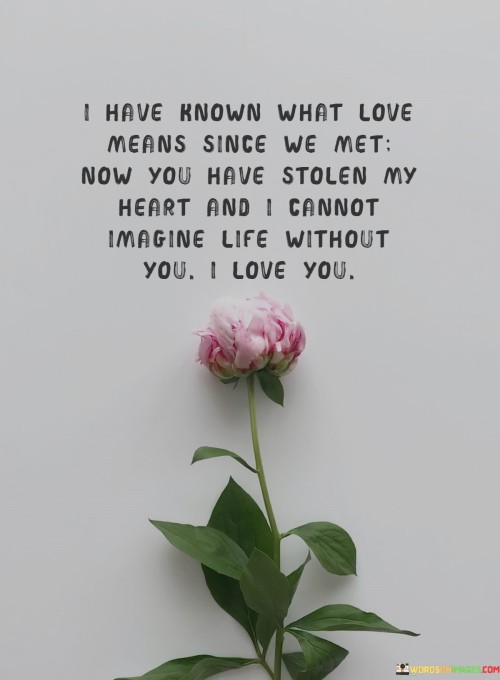 I-Have-Known-What-Love-Means-Since-We-Met-Now-You-Have-Stolen-My-Quotes.jpeg