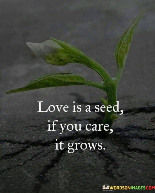 Love-Is-Seed-If-You-Care-It-Grows-Quotes.jpeg