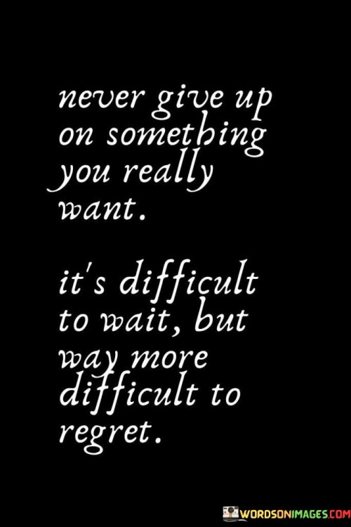 Never Give Up On Something You Really Want It's Difficult Quotes