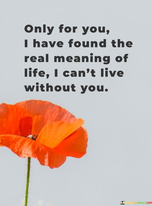 Only For You I Have Found The Real Meaning Of Life I Can't Live Quotes