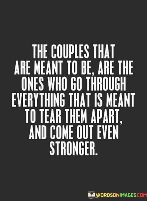 The-Couples-That-Are-Meant-To-Be-Are-The-Quotes-Quotes.jpeg