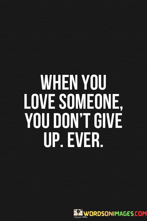When-You-Loves-Someone-You-Dont-Give-Up-Quotesa9cd21235241b09b.jpeg