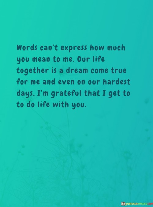 Words Can't Express How Much You Mean To Me Our Life Quotes