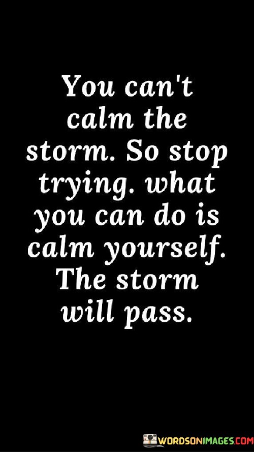 You Can't Clam The Strom So Stop Trying What You Can Quotes