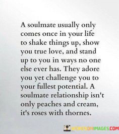 A-Soulmate-Usually-Only-Comes-Once-In-Your-Life-To-Shake-Things-Up-Quotes.jpeg