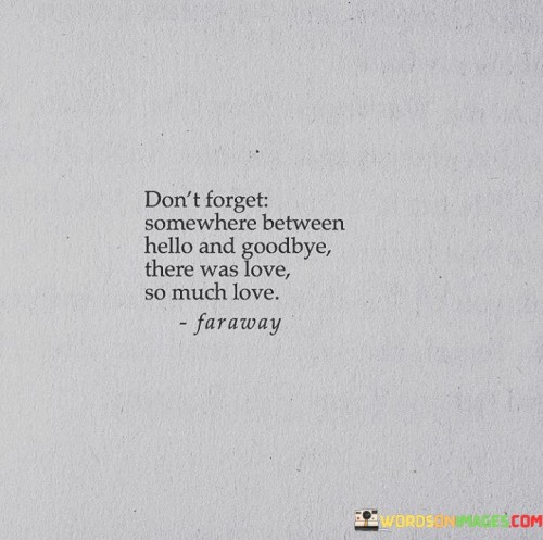 Dont-Forget-Somewhere-Between-Hello-And-Goodbye-There-Was-Love-So-Much-Love-Quotes.jpeg