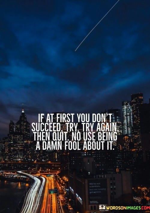 If-At-First-You-Dont-Succeed-Try-Try-Again-Then-Quit-Quotes