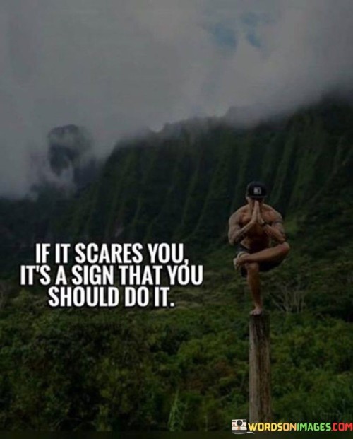 If It Scares You It's A Sign That You Should Do It Quotes