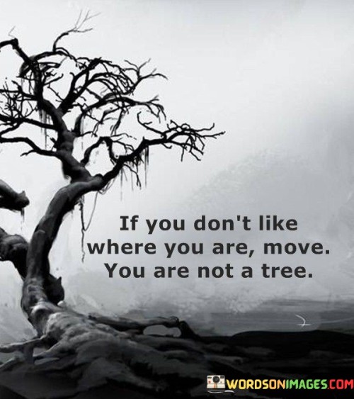 If-You-Dont-Like-Where-You-Are-Move-You-Are-Not-A-Tree-Quotes.jpeg