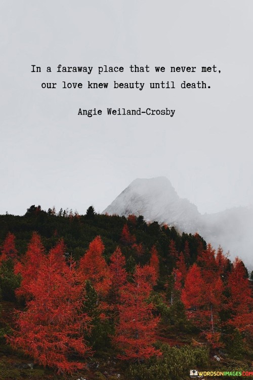 In-A-Faraway-Place-That-We-Never-Met-Our-Love-Knew-Beauty-Until-Death-Quotes.jpeg