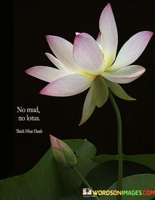 No-Mud-No-Lotus-Quotes.jpeg