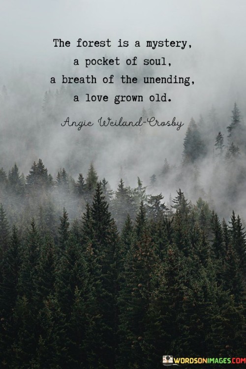 The-Forest-Is-A-Mystery-A-Pocket-Of-Soul-A-Breath-Of-The-Unending-A-Love-Grown-Old-Quotes.jpeg