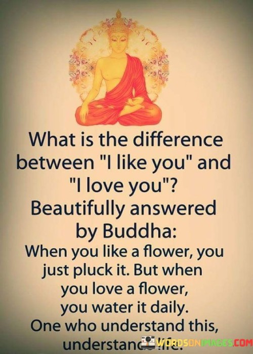 What Is The Difference Between I Like You And I Love You Beautifully Answered By Buddha When You Quo