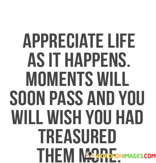 Appreciate-Life-As-It-Happens-Moments-Will-Soon-Pass-Quotes.jpeg