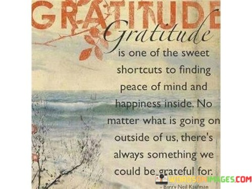 This reflection highlights the profound impact of gratitude on inner well-being. "Gratitude is one of the sweet shortcuts to finding peace of mind and happiness inside. No matter what is going on outside of us, there's always something we could be grateful for" suggests that practicing gratitude leads to inner tranquility and joy. It underscores the transformative power of focusing on positives amidst external challenges.

"Gratitude Is One of the Sweet Shortcuts to Finding Peace of Mind and Happiness Inside. No Matter What Is Going On Outside of Us, There's Always Something We Could Be Grateful For" encapsulates the concept of gratitude as an internal source of well-being. It implies that regardless of external circumstances, acknowledging blessings fosters a sense of contentment. The phrase underscores the importance of cultivating an attitude of gratitude.

The message promotes the idea of emotional resilience and mindfulness. By practicing gratitude, individuals can find solace and happiness within themselves, even when facing difficulties. The statement underscores the potential for gratitude to transform one's emotional state, enhance personal growth, and foster a more positive outlook on life.