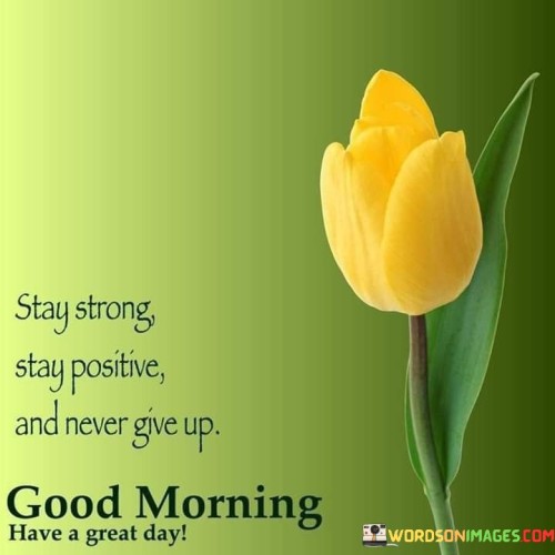 Stay Strong Stay Positive And Never Give Up Quotes