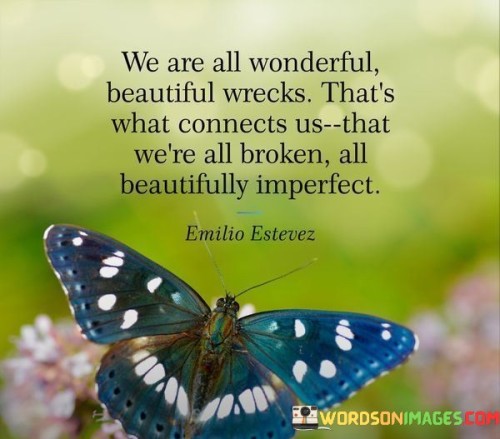 We-Are-All-Wonderful-Beautiful-Wrecks-Thats-What-Connects-Quotes.jpeg