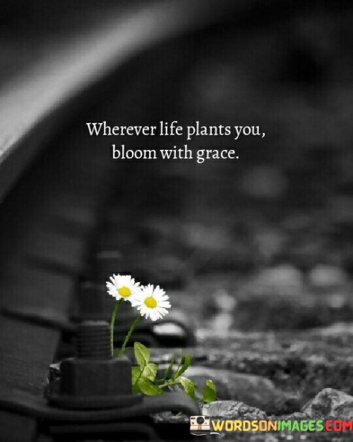 Wherever Life Plants You Bloom With Grace Quotes