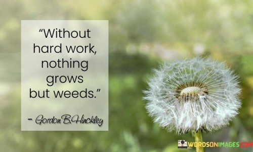 Without Hard Work Nothing Grows But Weeds Quotes