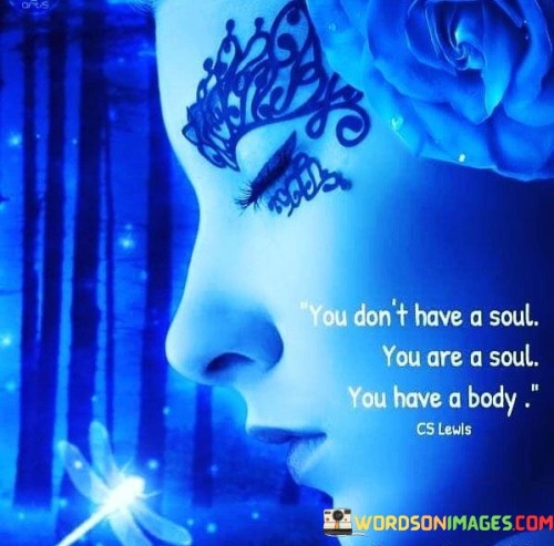 You Don't Have A Soul You Are A Soul You Have A Body Quotes