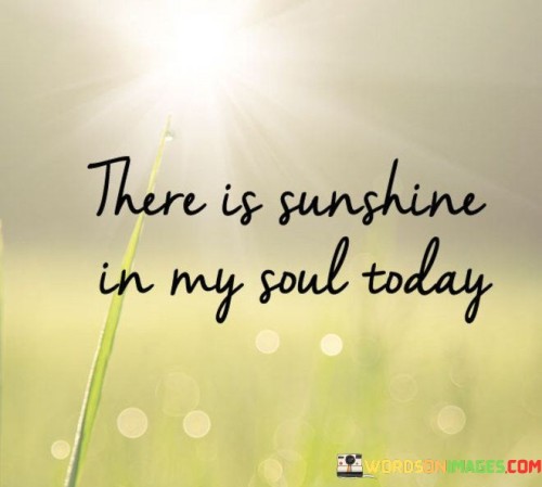 "There is sunshine in my soul today." This simple yet profound statement encapsulates a feeling of inner joy, positivity, and contentment. It paints a vivid picture of a heart that is illuminated by an inner light, radiating warmth and happiness to the world.

The phrase "sunshine in my soul" suggests a deep and spiritual connection to a source of positivity and light. It goes beyond just a physical representation of sunlight and delves into the emotional and spiritual realm. This phrase can be interpreted as a metaphor for finding inner peace, embracing gratitude, and experiencing a sense of well-being.

The use of "today" at the end of the quote signifies a present-moment awareness. It implies that this sunshine within is not limited to a particular day but is a continuous state of being. It encourages living in the moment and appreciating the blessings and positivity that each day brings.

Overall, "There is sunshine in my soul today" is a poetic and uplifting expression that resonates with anyone who seeks to embrace positivity, gratitude, and a sense of inner light regardless of external circumstances. It reminds us that even amidst challenges, we can choose to nurture our inner sunshine and let it illuminate our lives.