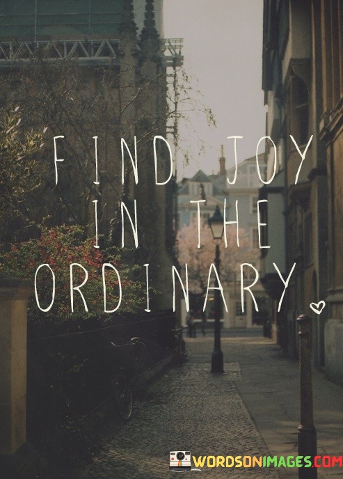 Find-Joy-In-The-Ordinary-Quotes.jpeg