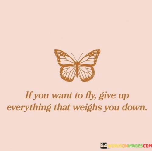 If-You-Want-To-Fly-Give-Up-Everything-That-Weighs-You-Down-Quotes.jpeg