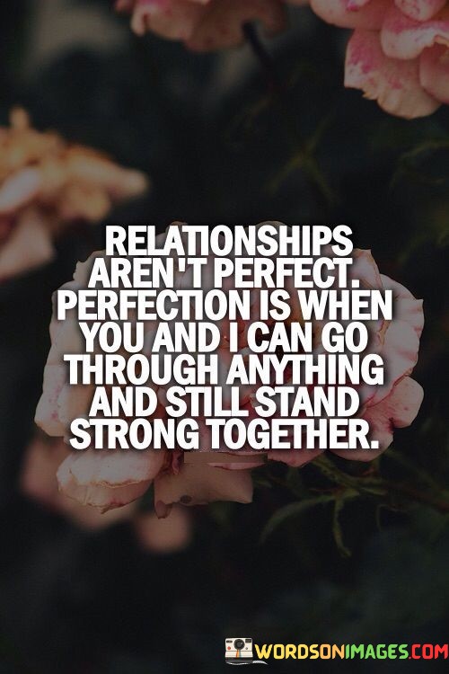 Relationships-Arent-Perfect-Perfection-Is-When-You-And-I-Can-Go-Quotes.jpeg