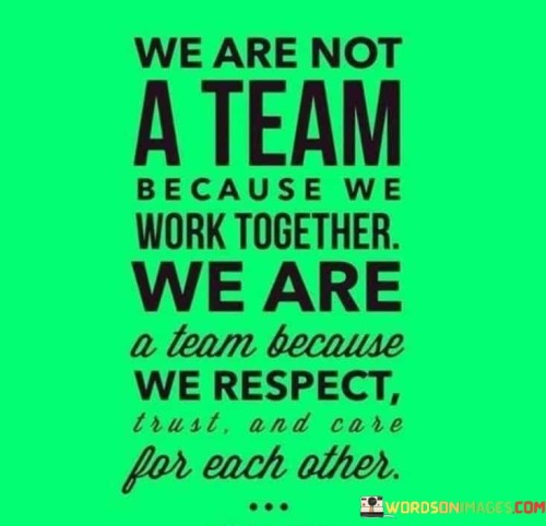 We Are Not A Team Because We Work Together We Are A Team Quotes