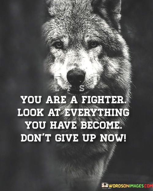 You-Are-A-Fighter-Look-At-Everything-Quotes.jpeg