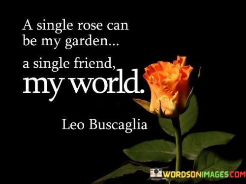 A Single Rose Can Be My Garden A Single Friend My World Quotes