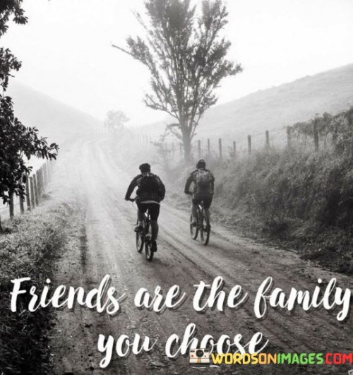 Friend Are The Family You Choose Quotes