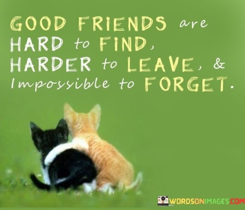 Good Friends Are Hard To Find Harder To Leave And Impossible Quotes