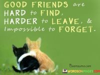 Good-Friends-Hard-To-Find-Harder-To-Leave-Impossible-To-Forget-Quotes.jpeg