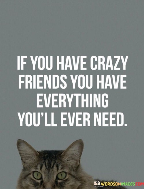 If You Have Crazy Friends You Have Everything You'll Ever Need Quotes