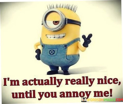 I'm Actually Really Nice Until You Annoy Me Quotes