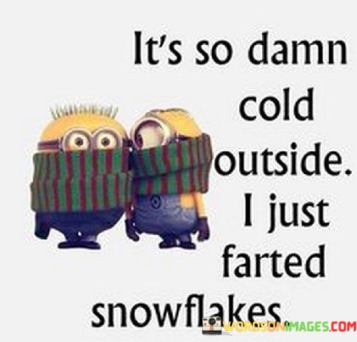 Its-So-Damn-Cold-Outside-I-Just-Farted-Snowflakes-Quotes.jpeg