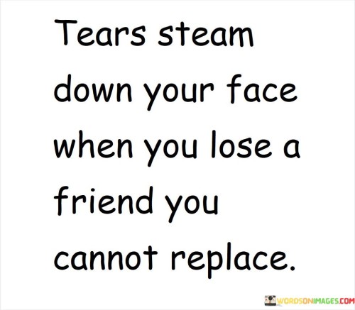 Tears-Steam-Down-Your-Face-When-You-Lose-A-Friend-You-Quotes.jpeg