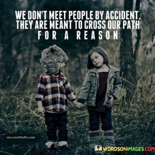 We Don't Meet People By Accident They Are Meant To Cross Quotes