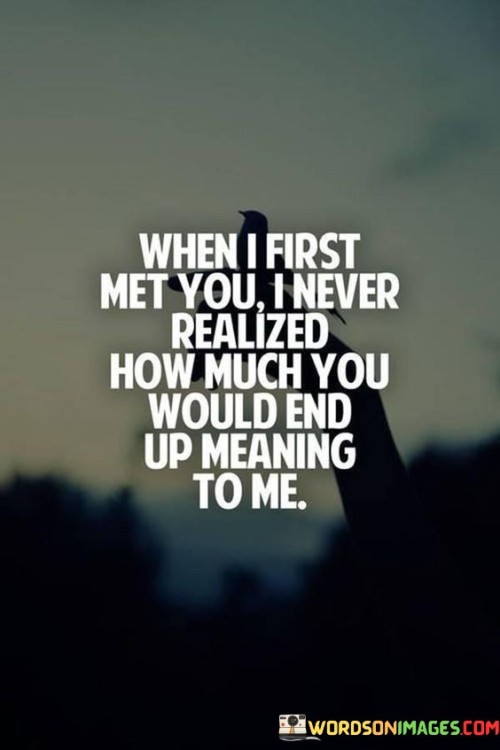 When I First Met You I Never Relized How Much You Would End Quotes