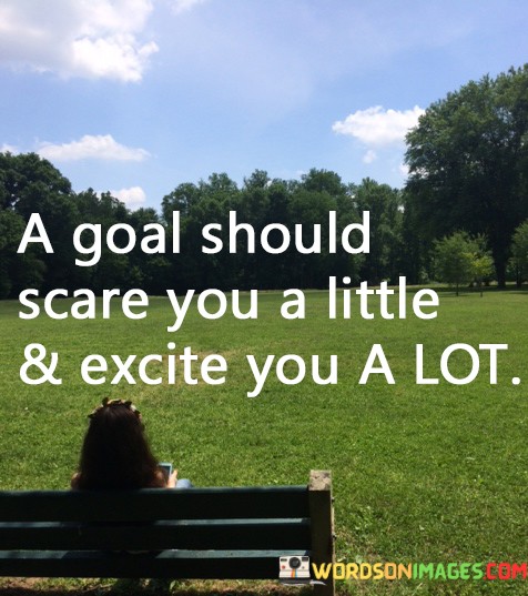 A-Goal-Should-Scare-You-A-Little-And-Excite-You-A-Lot-Quotes.jpeg